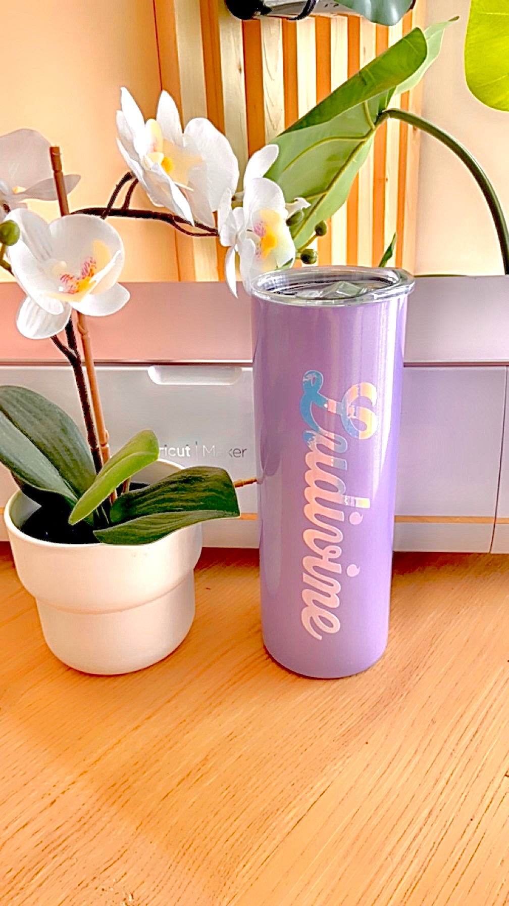 Tumbler canette! Nouvelles couleurs!